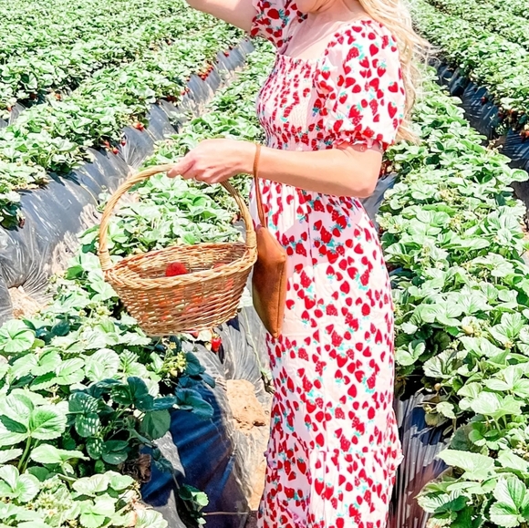 BETSEY JOHNSON Women's Dress Size XXL Strawberry Fields Tiered Smocked Midi - Picture 3 of 16